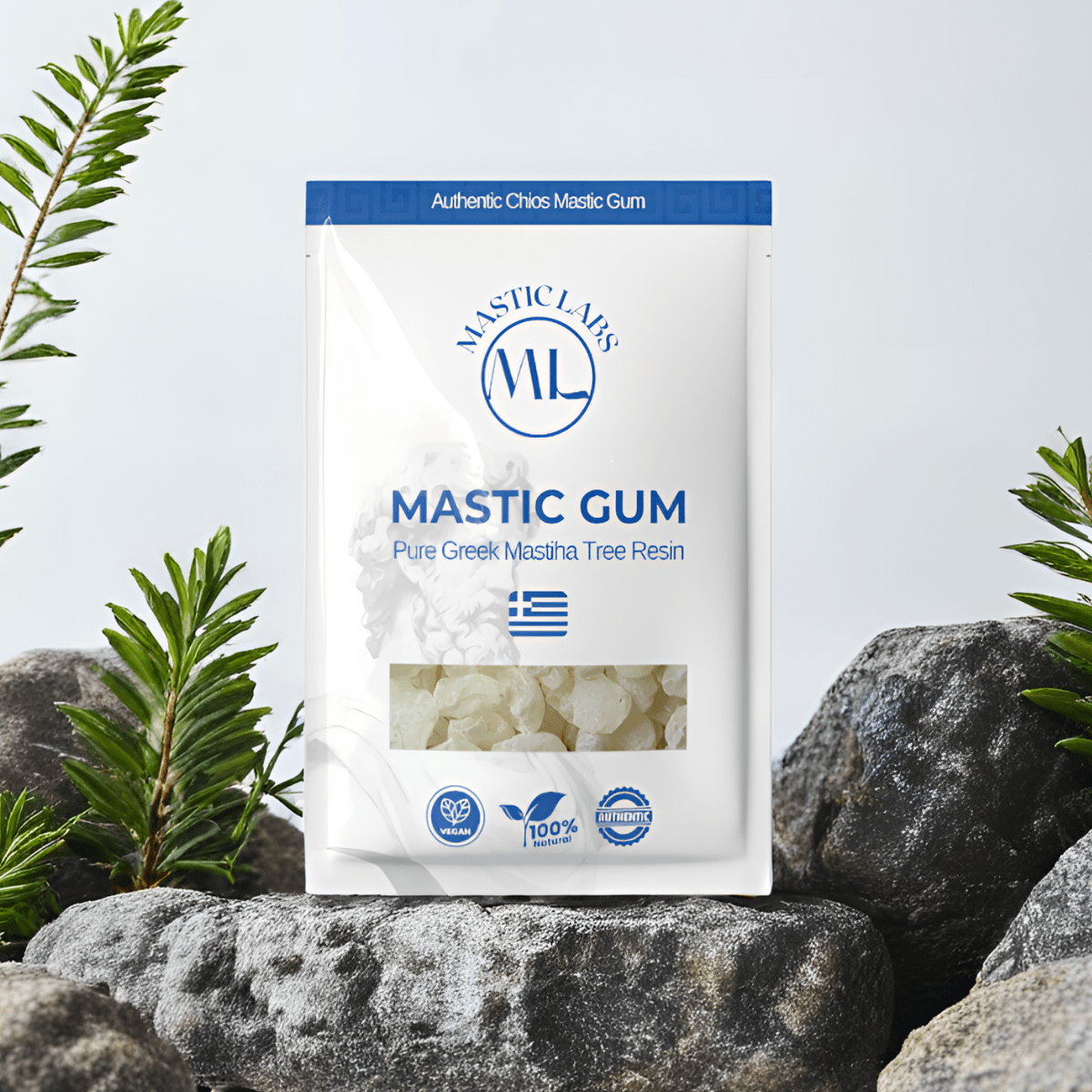 Pure Greek Chios Mastic Gum Mastiha (Pistacia Lentiscus) - Medium Tears - Mastic Labs