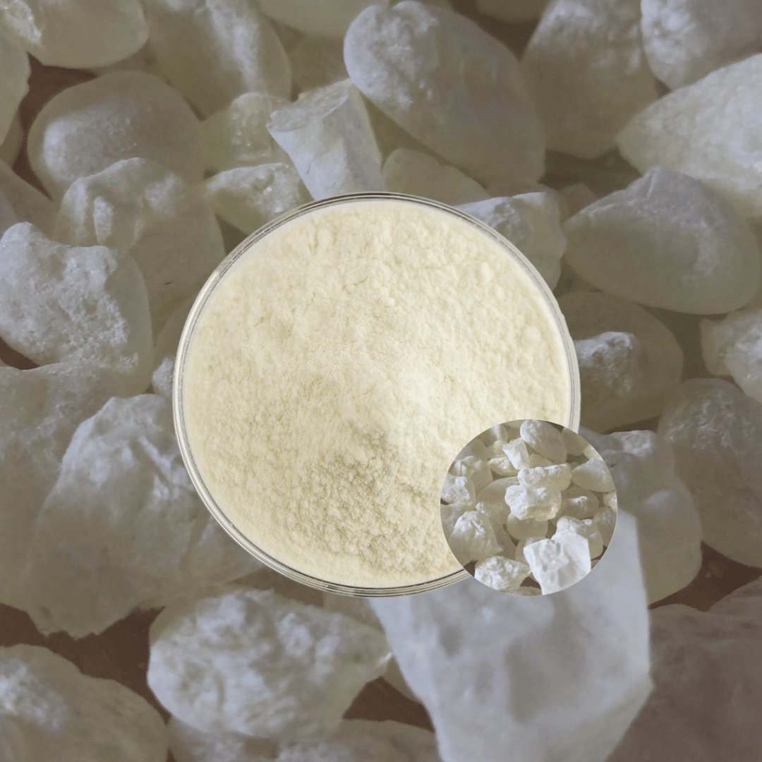 Mastic Powder Unlocking the Versatility of Greek Mastic Gum (Pistacia Lentiscus) Pow ...