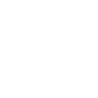 Mastic Labs