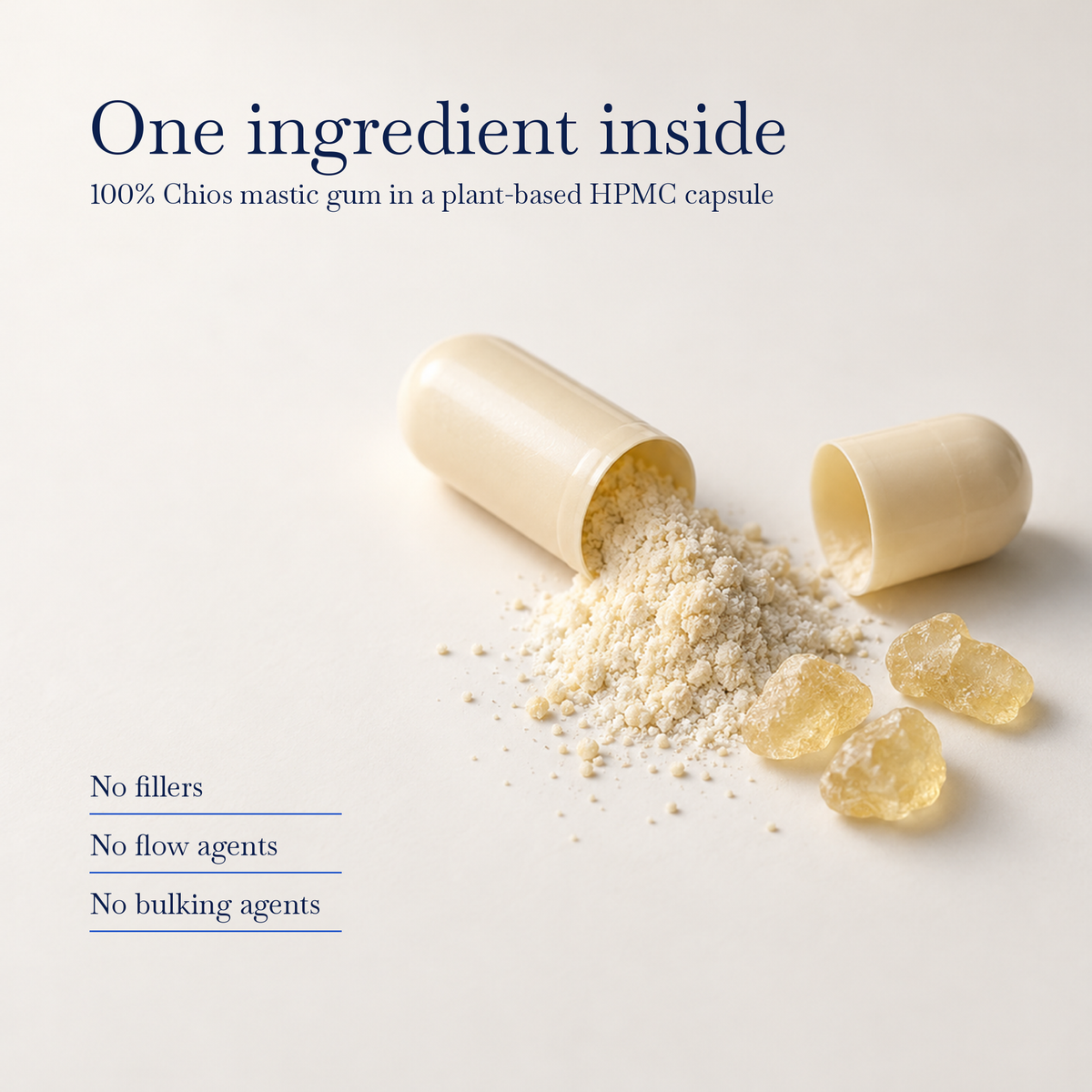 An opened cream HPMC capsule with fine Chios mastic powder spilling out beside mastic tears. One ingredient inside: 100% Chios mastic gum in a plant-based HPMC capsule.